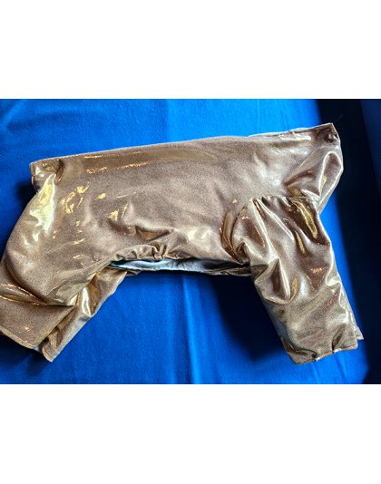 Gold Shimmer Pajamas