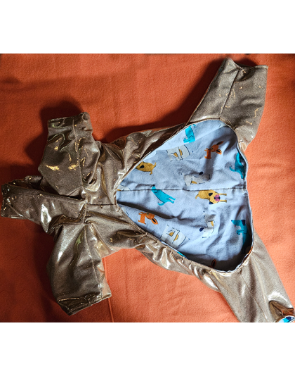 Gold Shimmer Pajamas