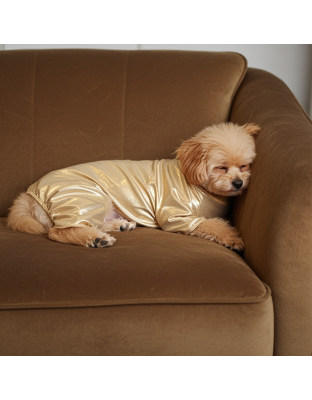 Gold Shiney Pajamas