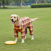Custom Dog Pajamas